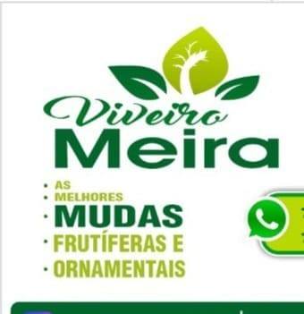 Viveiro Meira 